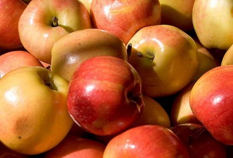 Mniej jabłek na południowej półkuli