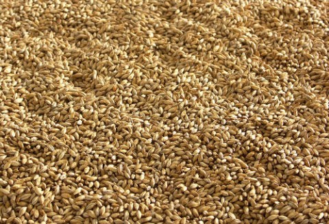 Kazachstan – Więcej zboża do Azerbejdżanu