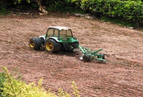 Czynsz dzierżawny w I kw. 2011 r.