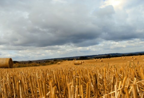 Stanowisko polskich organizacji rolniczych zrzeszonych w Copa Cogeca w sprawie Wspólnej Polityki Rolnej po 2013 roku