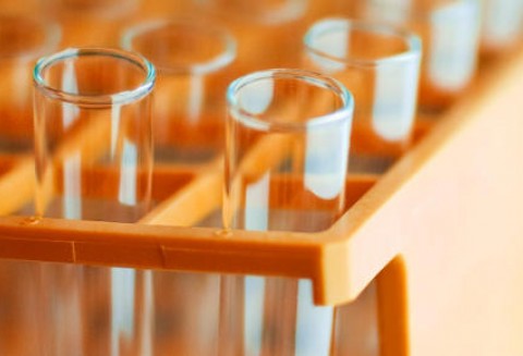 Unijne środki na badania nad wirusem ze Schmallenbergu