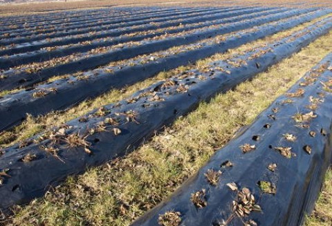 Kupując grunt sprawdź wykaz -  