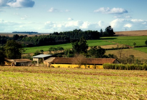 150 lat Kółka Rolniczego w Sobótce