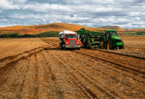 ARiMR przyjęła blisko 10 tysięcy wniosków o przyznanie wsparcia na 