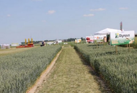 Tydzień na rynku giełdowym zbóż – 28.05.2012