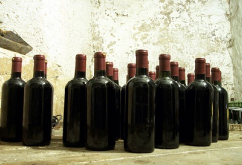 Winiarskie dożynki w Ochli