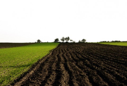 Polsko-włoskie rozmowy o przyszłości WPR