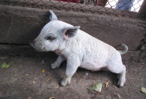 Zapraszamy do oglądania programu 