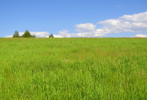 Polak zwycięzcą konkursu na Rolnika Roku Regionu Morza Bałtyckiego