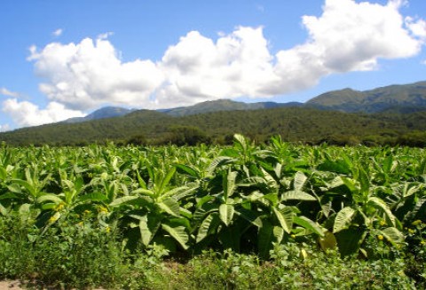 Spotkanie z przedstawicielami branży tytoniowej