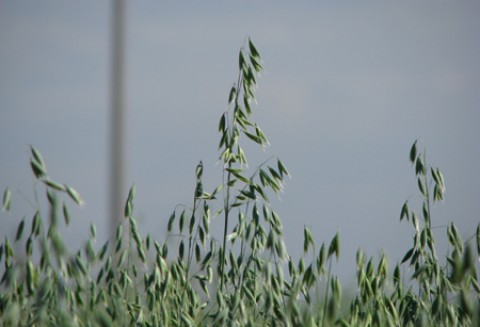 Spotkanie z delegacją Państwowej Administracji ds. Zbóż Chińskiej Republiki Ludowej