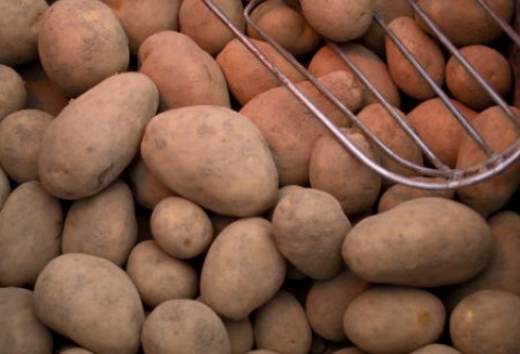 Ziemniaczane bogactwo