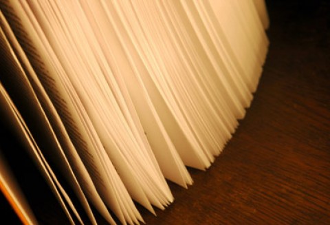 Trwa nabór wniosków o przyznanie premii młodym rolnikom. W tym roku na taką pomoc ARiMR ma 500 milionów zł.