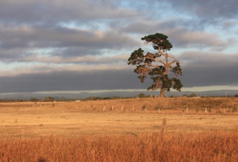 Debata na temat aktualnej sytuacji w rolnictwie