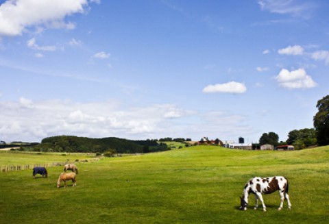 Polskie rolnictwo za 20 lat Moja przyszłość w unijnym rolnictwie