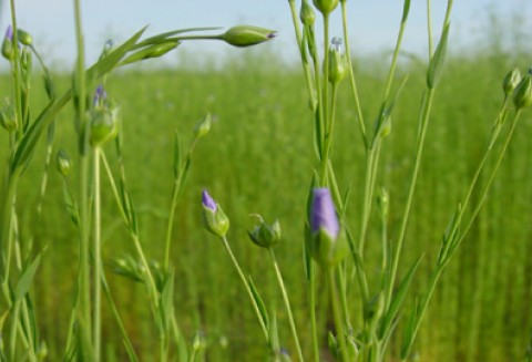Konferencja ministrów rolnictwa w Augustowie