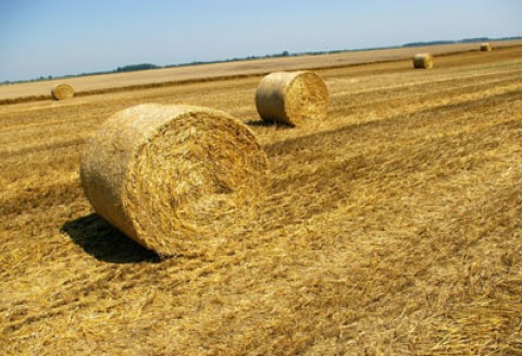 UWAGA ROLNICY !!! którzy ponieśli straty spowodowane wystąpieniem suszy w 2011r.