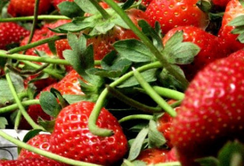 Komunikat IJHARS na temat kontroli produktów regionalnych i tradycyjnych