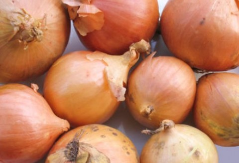 Rynek białej cebuli