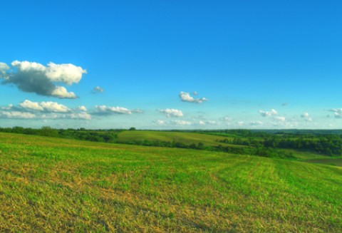Wielka Brytania: redukcja emisji z transportu dzięki biopaliwom przekroczyła zakładany cel