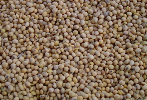 Tydzień na rynku giełdowym oleistych – 16.01.2012