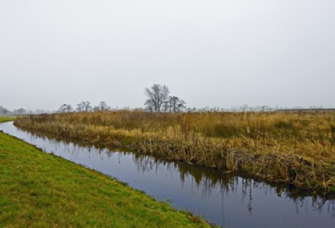 Norma dotycząca utrzymania stref buforowych wzdłuż cieków wodnych