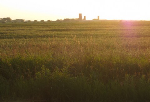 Spotkanie z delegacją parlamentu Saksonii-Anhalt