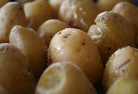 Komunikat IV Zagrożenie upraw nasiennych ziemniaka przez wirusy w 2011 roku