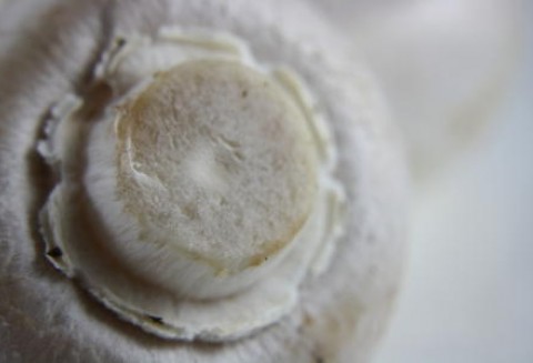 Polska największym producentem pieczarek w Europie