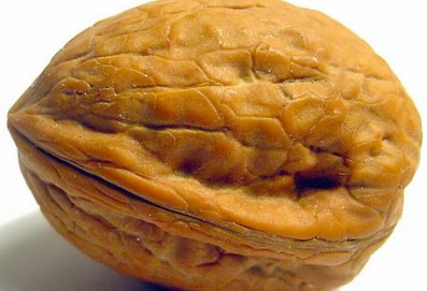 Chiny – Większe zbiory orzechów włoskich