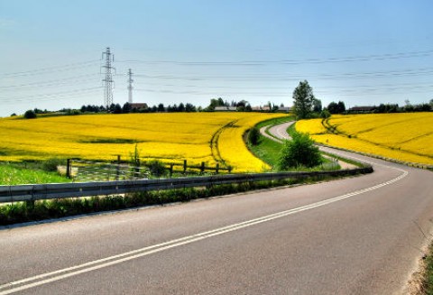 Nowy rekord na rynku soi - 25.04.2012