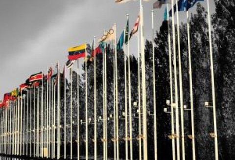 14. Międzynarodowe Specjalistyczne Targi Rolno-Przemysłowe „FARMER”, Kiszyniów, 19-22 października 2011 r.