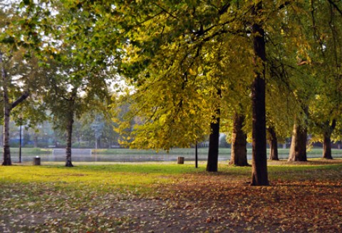 Park Historyczny „Trylogia