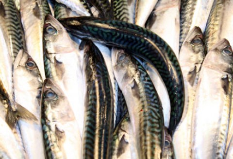 Dofinansowanie w ramach Środka 2.4. 