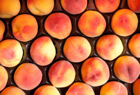 Zbiory unijnych brzoskwiń i nektarynek