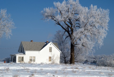 Zwiększył się zakres kontroli tzw. wymogów wzajemnej zgodności w gospodarstwach rolników