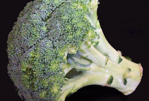 Hiszpania – Wzrost spożycia brokułów
