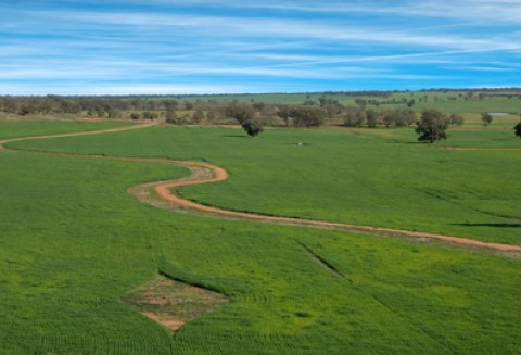 Drgnęły ceny państwowych gruntów