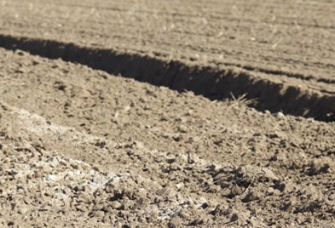 Międzynarodowa konferencja nt. glebowej materii organicznej