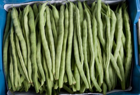 Egipt – Koniec unijnego embarga?