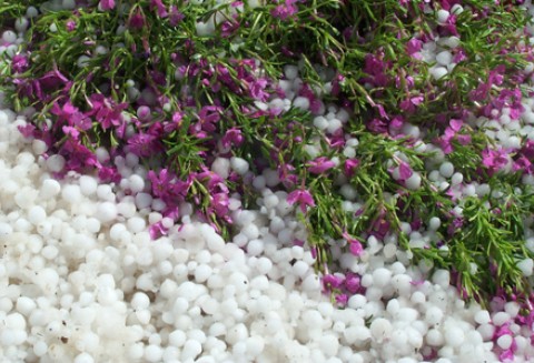 Pomoc krajowa, o którą mogą ubiegać się producenci rolni w gospodarstwach których wystąpiły szkody spowodowane niekorzystnymi zjawiskami atmosferycznymi