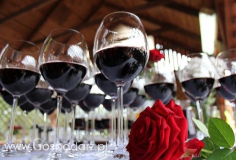 Certyfikacja wina z określonego rocznika lub wina z określonej odmiany winorośli