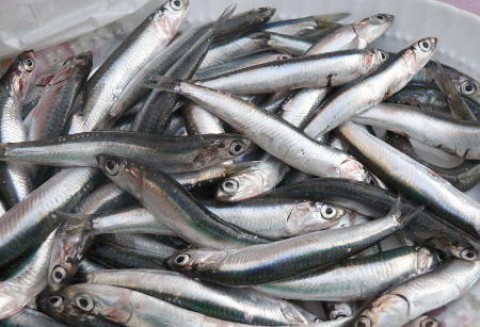 Rolnictwo i rybołówstwo w prezydencjach Polski, Danii i Cypru