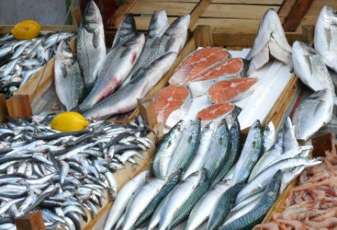 Egipt  - Kto na tym wszystkim naprawdę traci