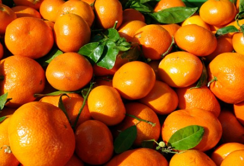 Rosja – Zwiększony import owoców cytrusowych