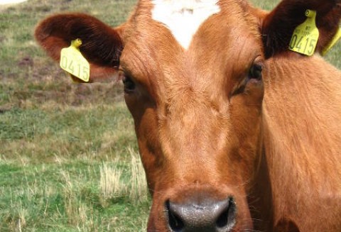 Wizyta na targach FARMA