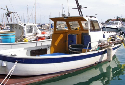 Od 1 sierpnia ARiMR wznawia przyjmowanie wniosków o przyznanie pomocy na dostosowanie floty rybackiej do możliwości połowowych