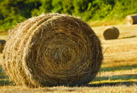 Spotkanie z Ambasadorem Czarnogóry