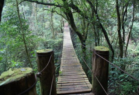 Zalesianie gruntów rolnych oraz zalesianie gruntów innych niż rolne - PROW 2007-2013