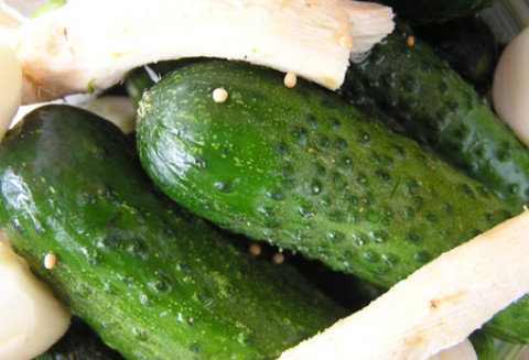 Konferencja Eksporterów Przemysłu Rolno-Spożywczego